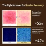 Dr. Reju-All Advanced LC - Ceramide Barrier Cream (50ml) - Image 2